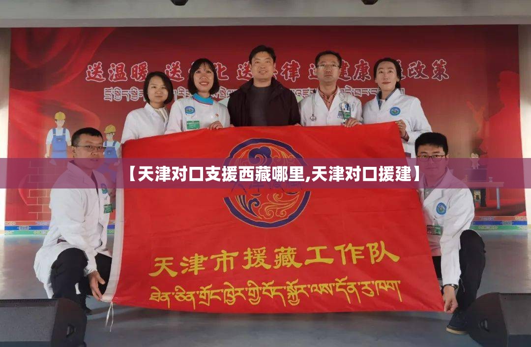 【天津对口支援西藏哪里,天津对口援建】
