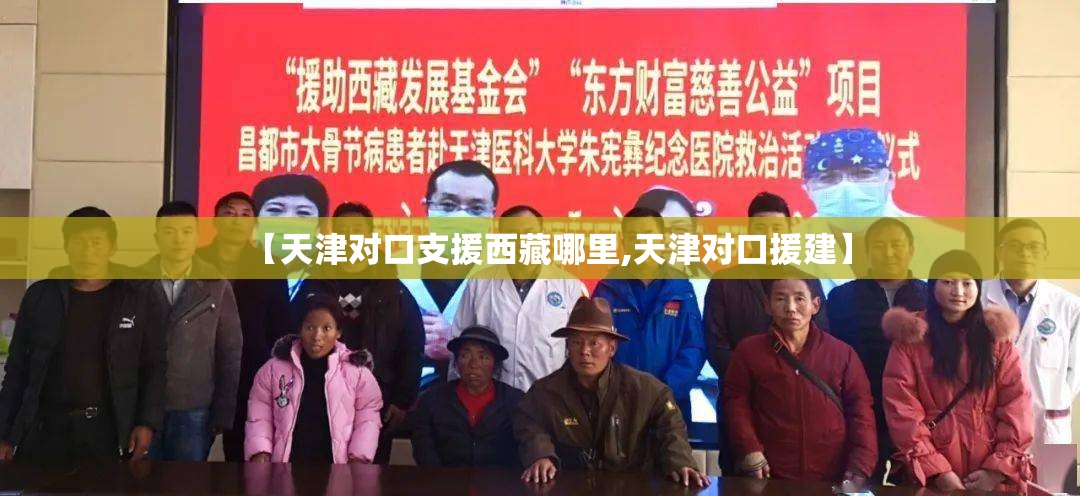 【天津对口支援西藏哪里,天津对口援建】