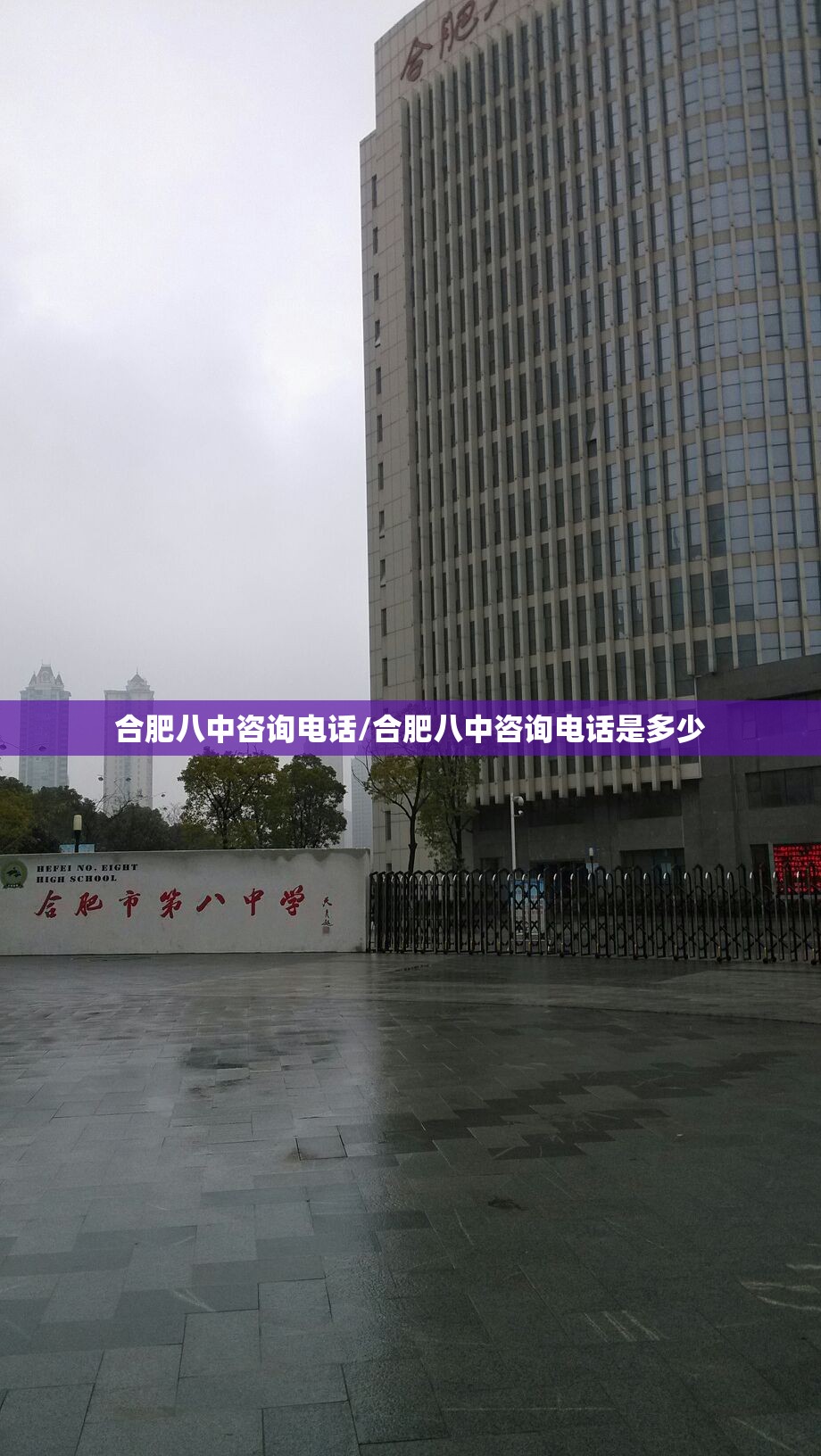 合肥八中咨询电话/合肥八中咨询电话是多少