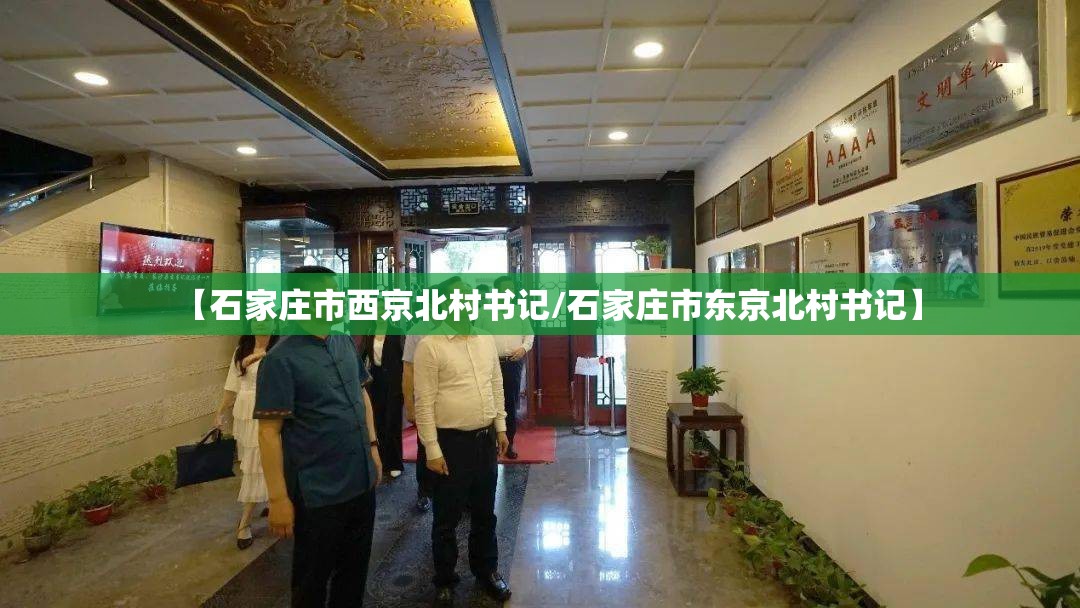 【石家庄市西京北村书记/石家庄市东京北村书记】