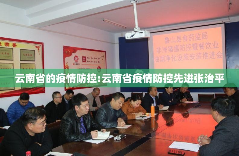云南省的疫情防控:云南省疫情防控先进张治平