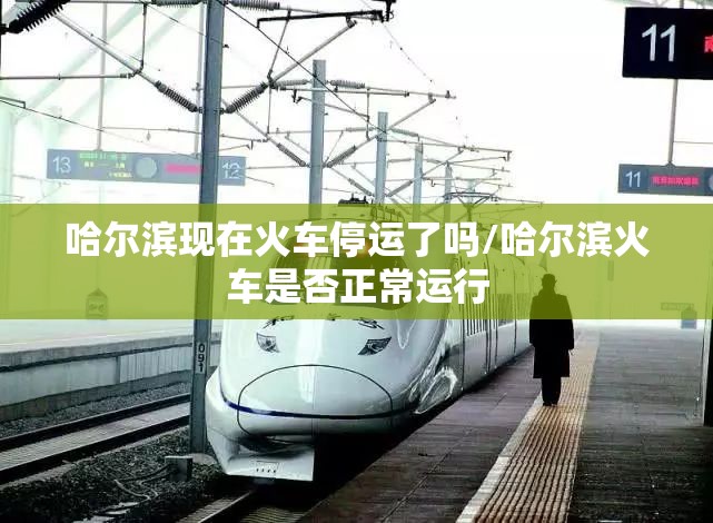 哈尔滨现在火车停运了吗/哈尔滨火车是否正常运行