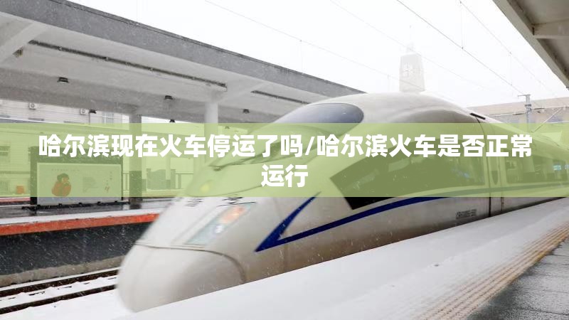哈尔滨现在火车停运了吗/哈尔滨火车是否正常运行