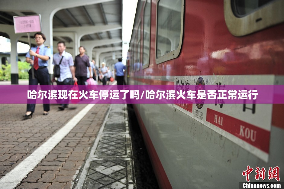 哈尔滨现在火车停运了吗/哈尔滨火车是否正常运行