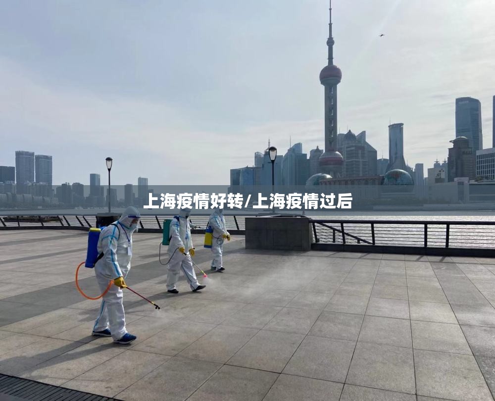 上海疫情好转/上海疫情过后