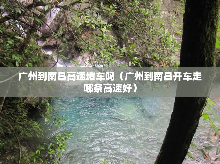 广州到南昌高速堵车吗（广州到南昌开车走哪条高速好）