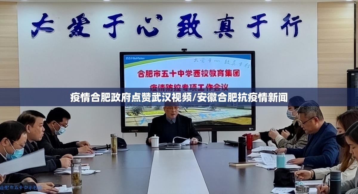 疫情合肥政府点赞武汉视频/安徽合肥抗疫情新闻