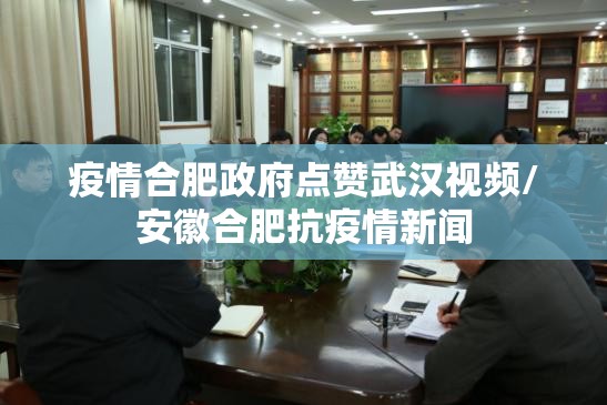 疫情合肥政府点赞武汉视频/安徽合肥抗疫情新闻