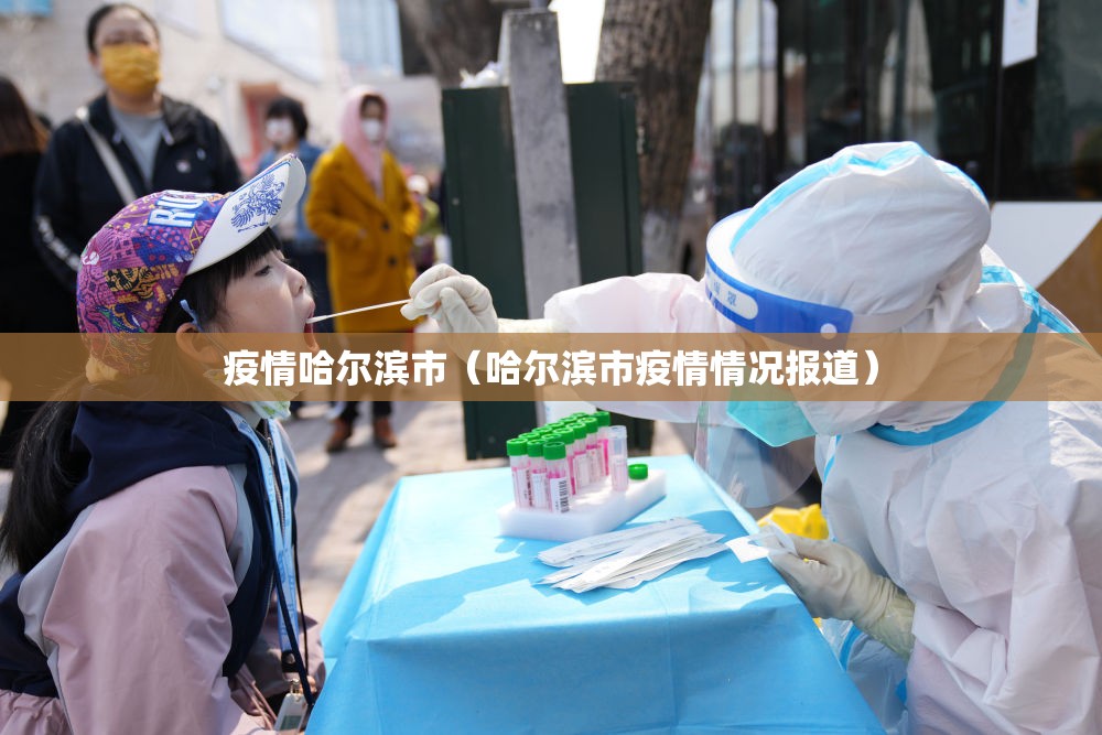 疫情哈尔滨市（哈尔滨市疫情情况报道）