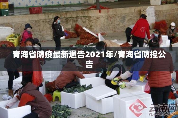 青海省防疫最新通告2021年/青海省防控公告