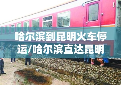 哈尔滨到昆明火车停运/哈尔滨直达昆明的火车几点钟发车