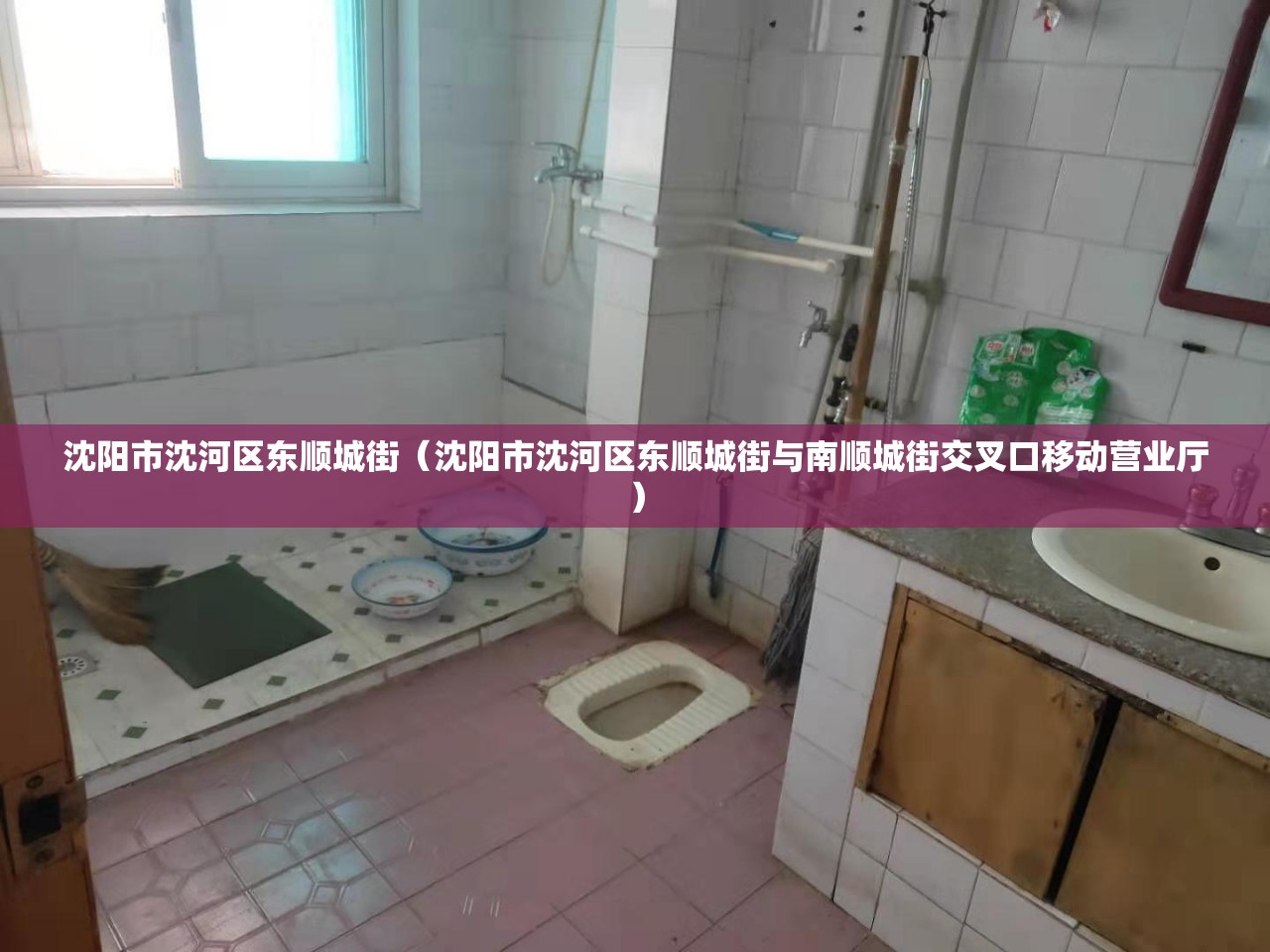 沈阳市沈河区东顺城街（沈阳市沈河区东顺城街与南顺城街交叉口移动营业厅）