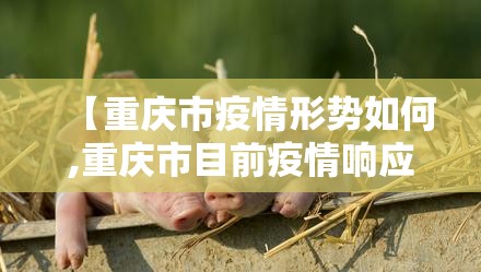 【重庆市疫情形势如何,重庆市目前疫情响应等级】