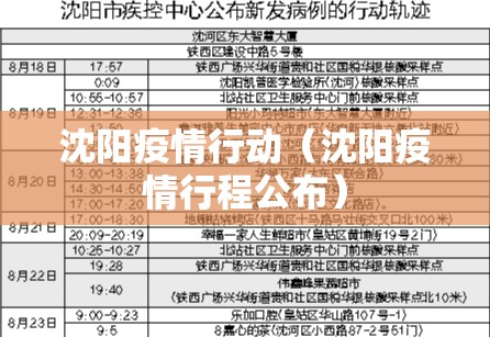 沈阳疫情行动（沈阳疫情行程公布）