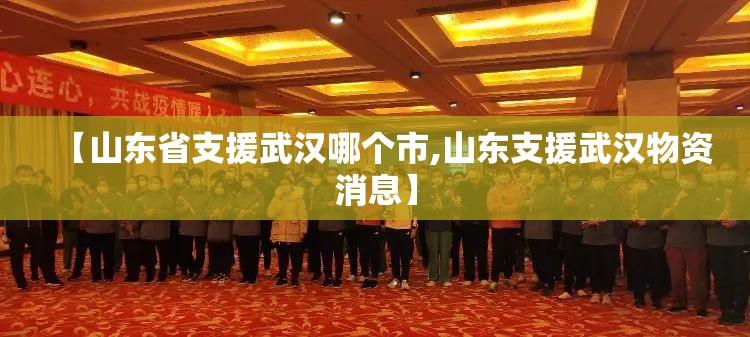 【山东省支援武汉哪个市,山东支援武汉物资消息】