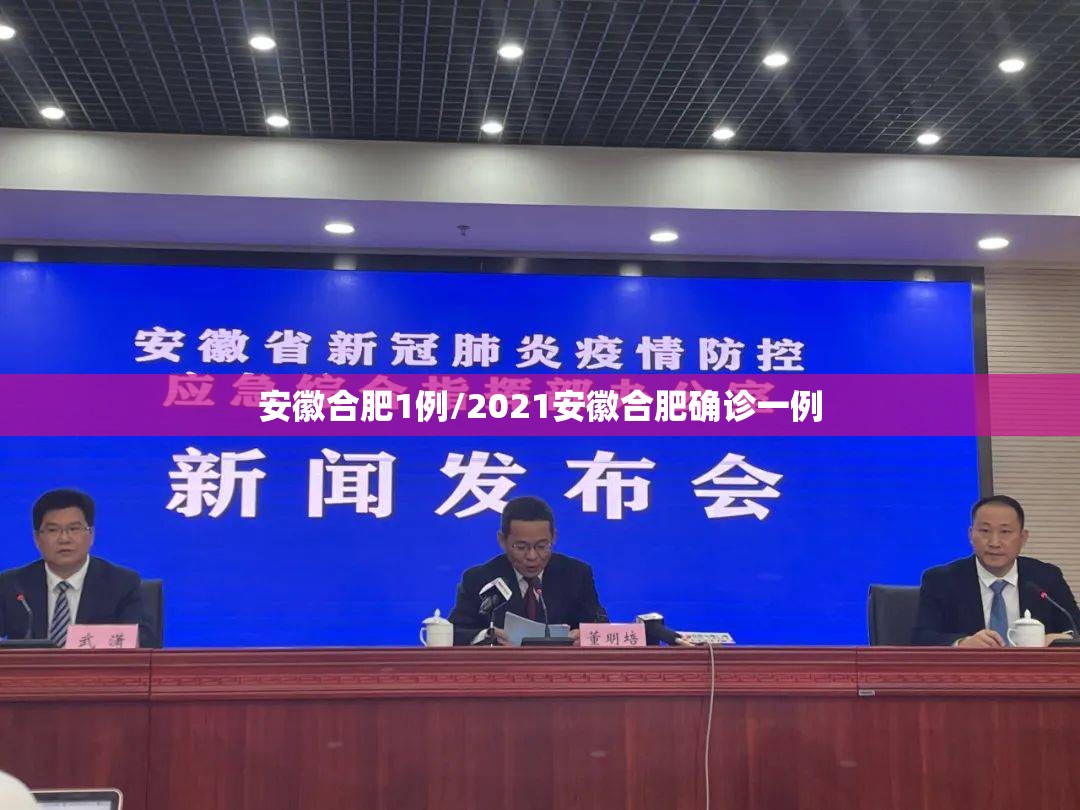 安徽合肥1例/2021安徽合肥确诊一例