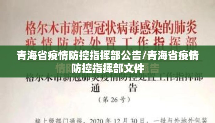 青海省疫情防控指挥部公告/青海省疫情防控指挥部文件