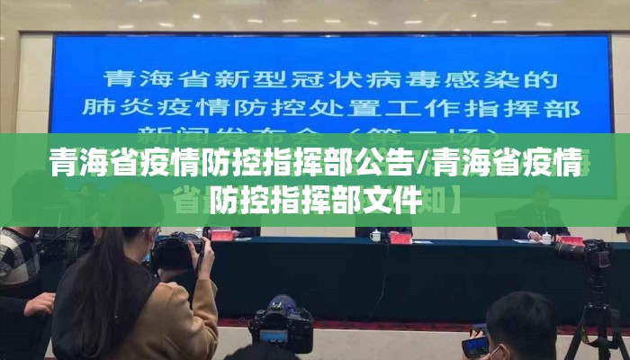 青海省疫情防控指挥部公告/青海省疫情防控指挥部文件
