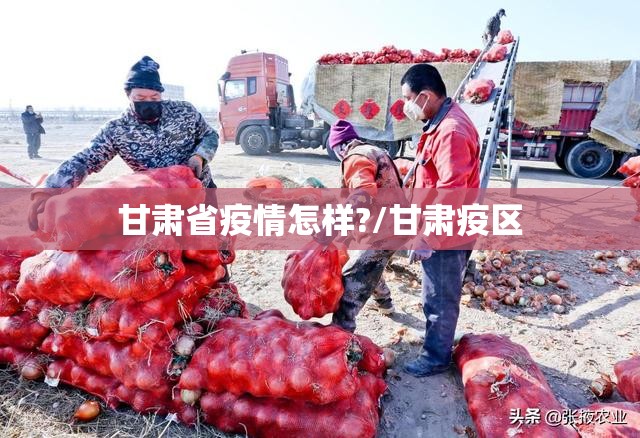 甘肃省疫情怎样?/甘肃疫区