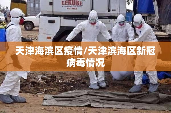 天津海滨区疫情/天津滨海区新冠病毒情况