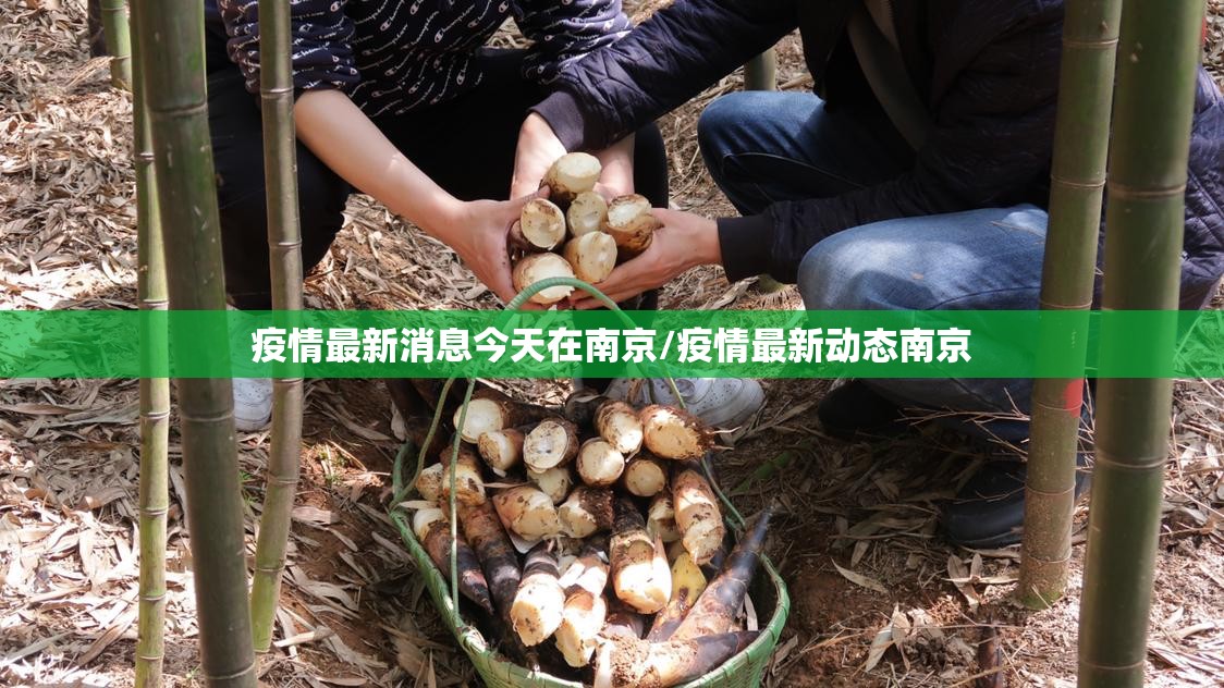 疫情最新消息今天在南京/疫情最新动态南京