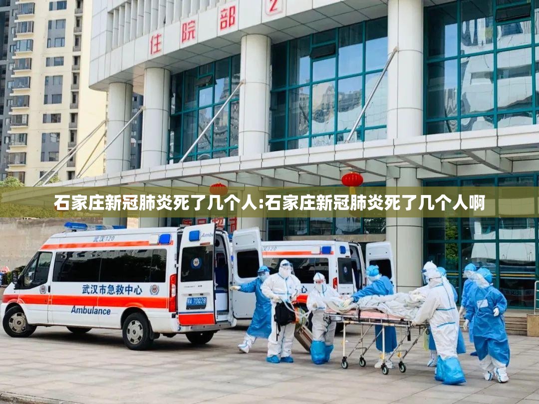 石家庄新冠肺炎死了几个人:石家庄新冠肺炎死了几个人啊