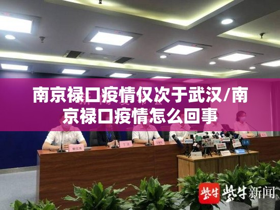 南京禄口疫情仅次于武汉/南京禄口疫情怎么回事