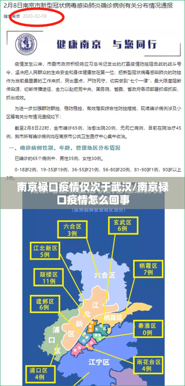 南京禄口疫情仅次于武汉/南京禄口疫情怎么回事