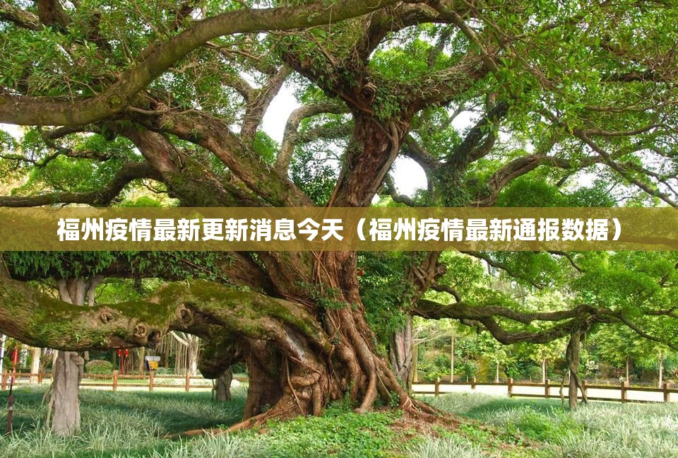 福州疫情最新更新消息今天（福州疫情最新通报数据）