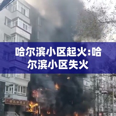 哈尔滨小区起火:哈尔滨小区失火