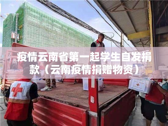 疫情云南省第一起学生自发捐款（云南疫情捐赠物资）