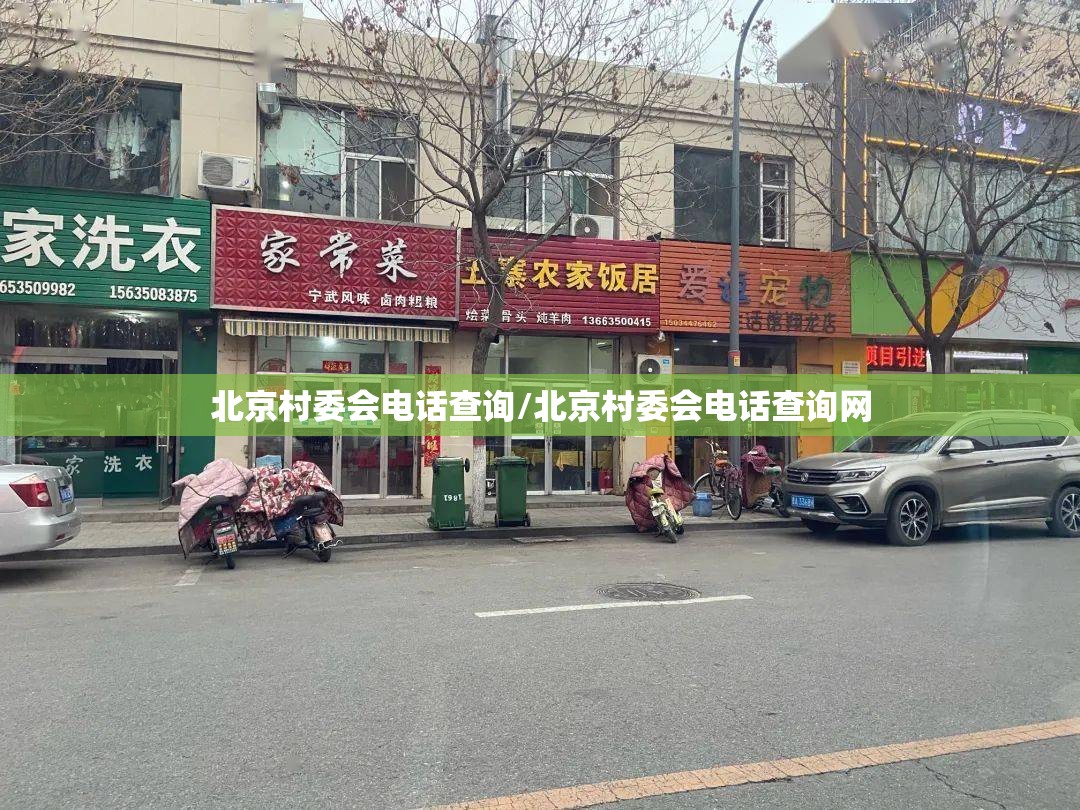北京村委会电话查询/北京村委会电话查询网