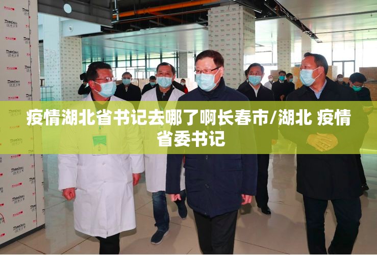 疫情湖北省书记去哪了啊长春市/湖北 疫情 省委书记