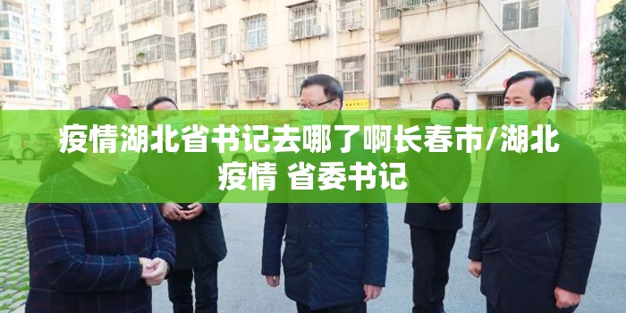 疫情湖北省书记去哪了啊长春市/湖北 疫情 省委书记