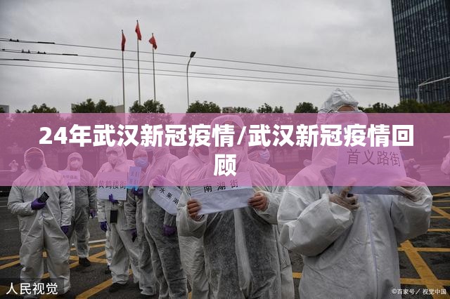 24年武汉新冠疫情/武汉新冠疫情回顾