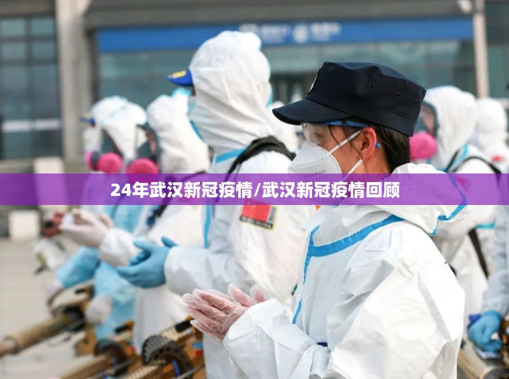 24年武汉新冠疫情/武汉新冠疫情回顾