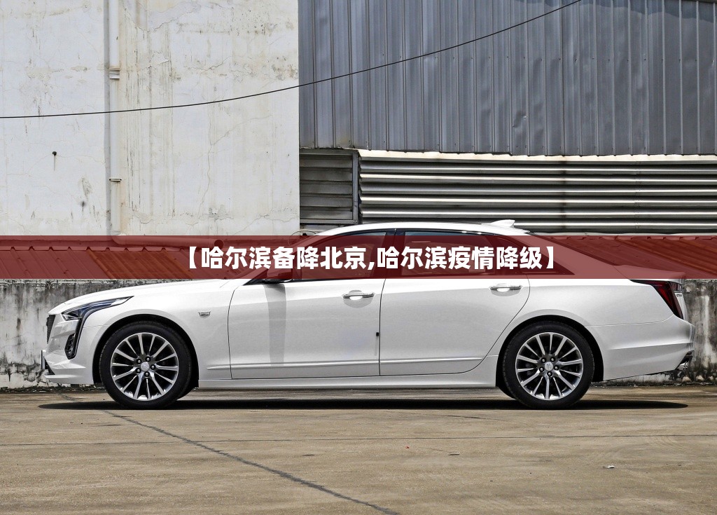 【哈尔滨备降北京,哈尔滨疫情降级】