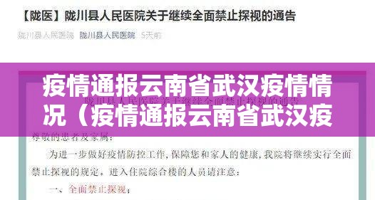 疫情通报云南省武汉疫情情况（疫情通报云南省武汉疫情情况最新）