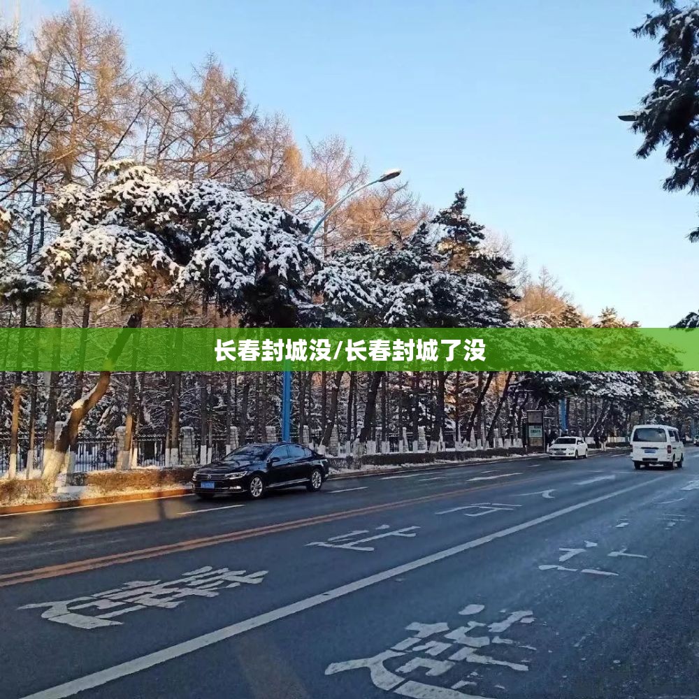 长春封城没/长春封城了没