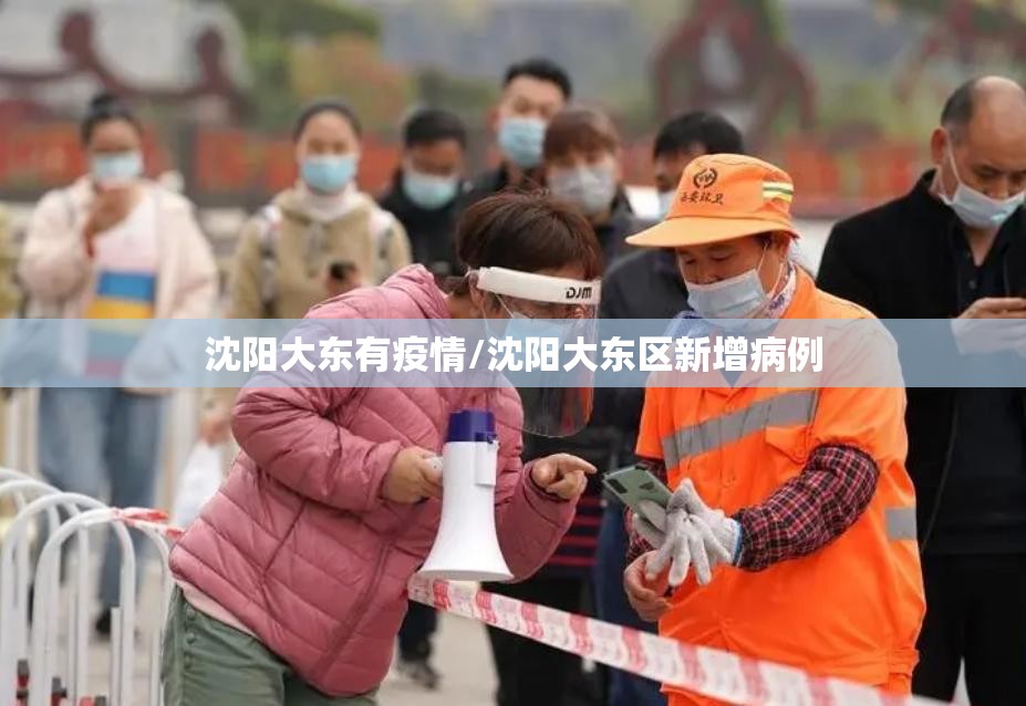 沈阳大东有疫情/沈阳大东区新增病例