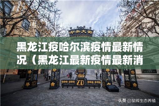 黑龙江疫哈尔滨疫情最新情况（黑龙江最新疫情最新消息哈尔滨）