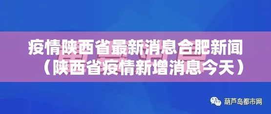 疫情陕西省最新消息合肥新闻（陕西省疫情新增消息今天）