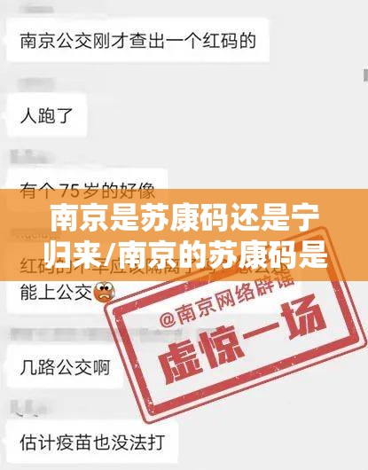南京是苏康码还是宁归来/南京的苏康码是什么颜色