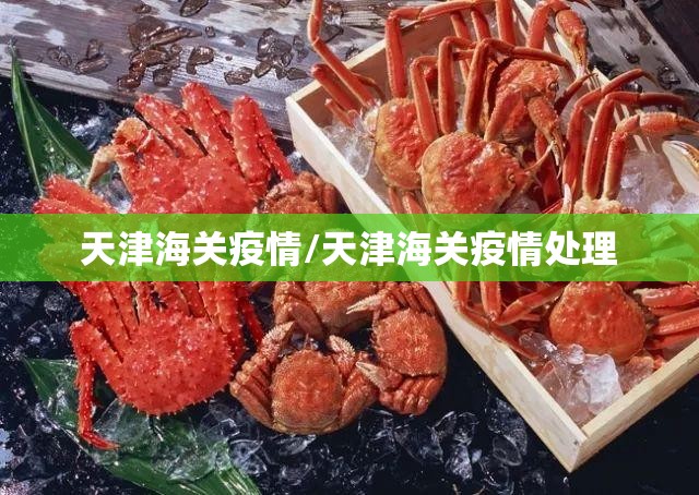 天津海关疫情/天津海关疫情处理