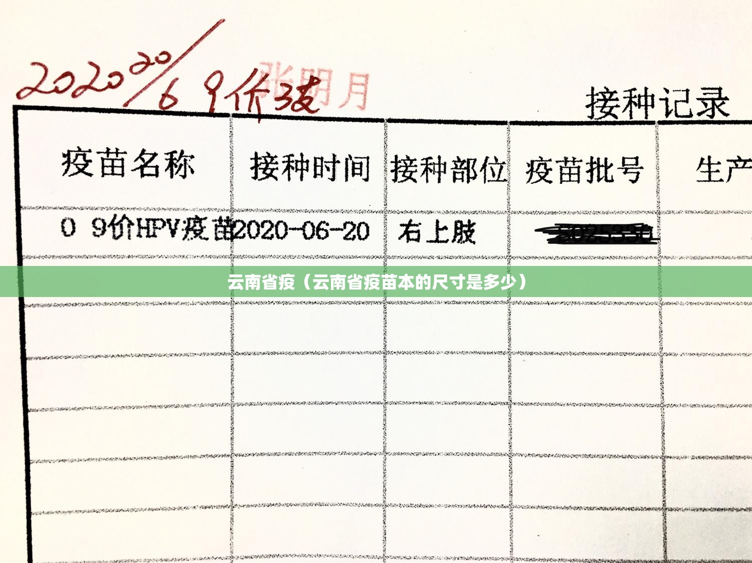 云南省疫（云南省疫苗本的尺寸是多少）