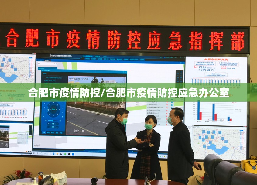 合肥市疫情防控/合肥市疫情防控应急办公室