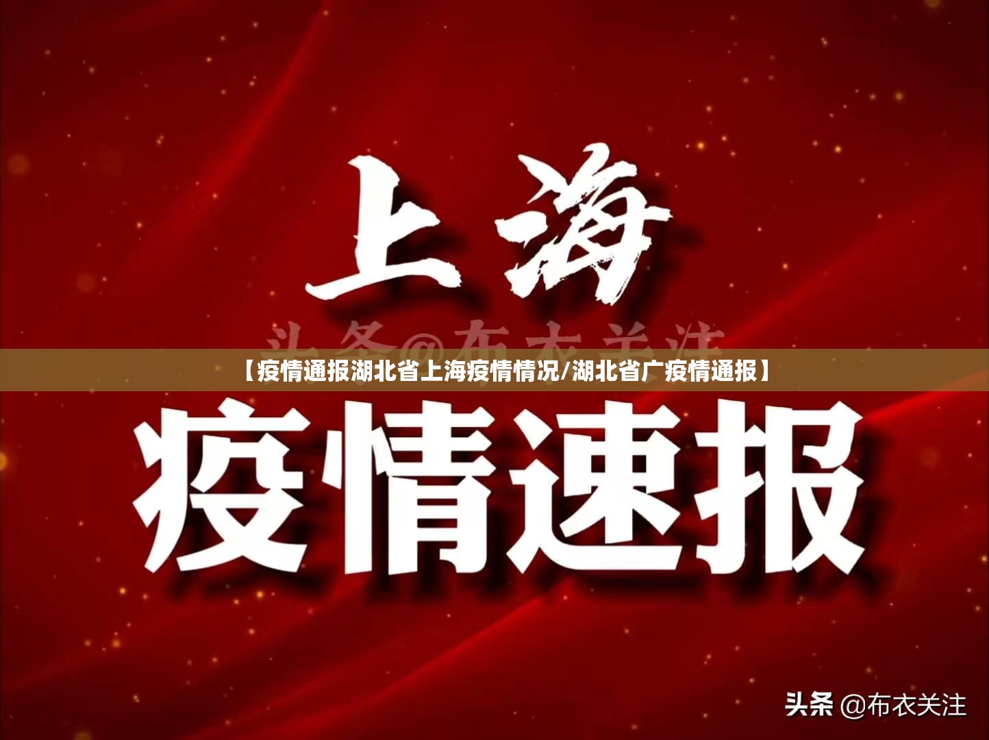 【疫情通报湖北省上海疫情情况/湖北省广疫情通报】