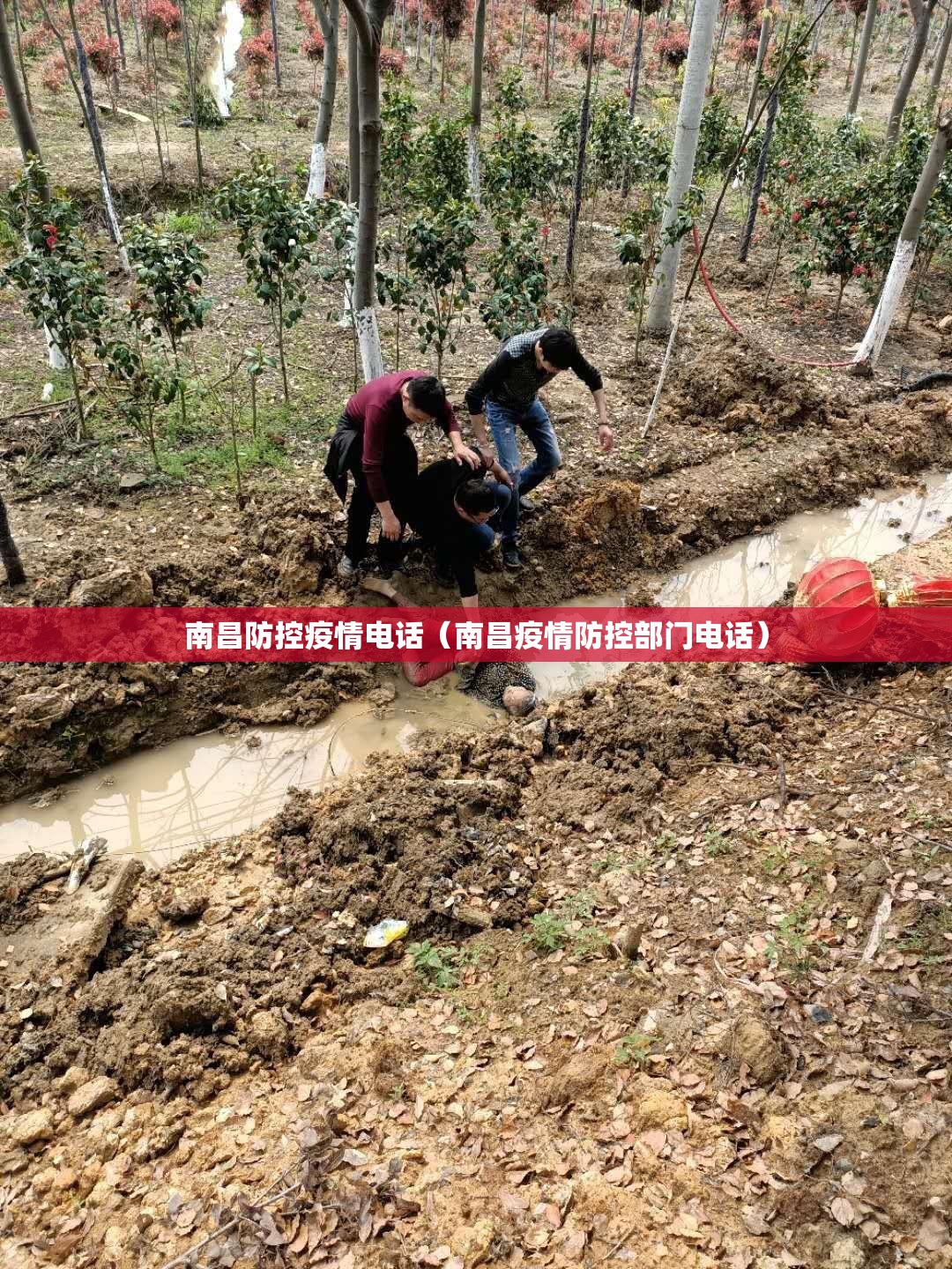 南昌防控疫情电话（南昌疫情防控部门电话）