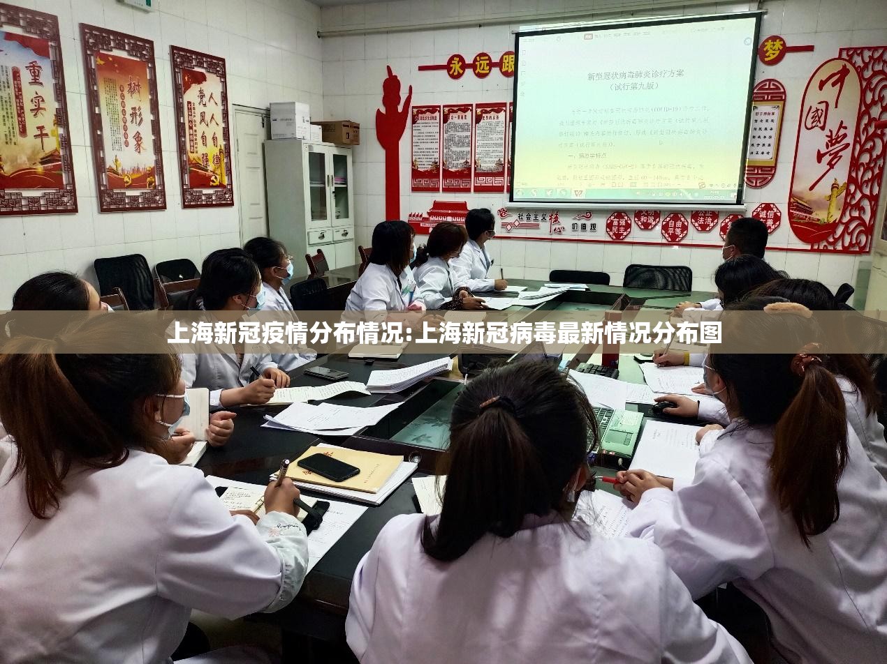 上海新冠疫情分布情况:上海新冠病毒最新情况分布图