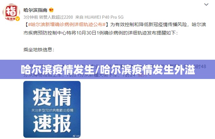 哈尔滨疫情发生/哈尔滨疫情发生外溢